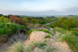 Aan de oostkant van de Duinen van Velsen ligt een hoog duin met een mooi uitzicht over de omgeving. | © Ronald van Wijk Fotografie